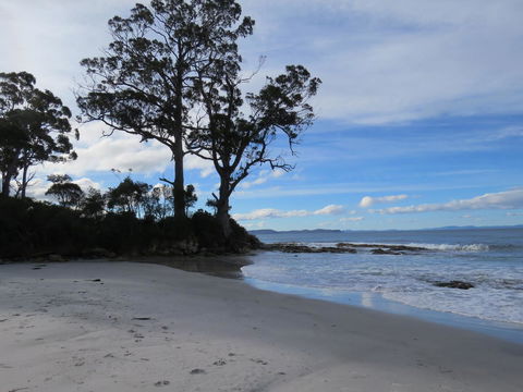 Captain Cook Holiday Park - Accommodation QLD 9
