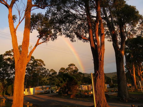 Captain Cook Holiday Park - Accommodation QLD 12