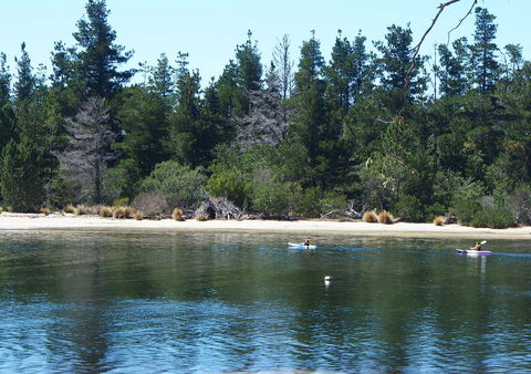 Orford Blue Waters Hotel - Accommodation QLD 42