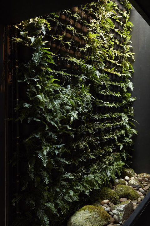 Moss Hotel - Accommodation QLD 2