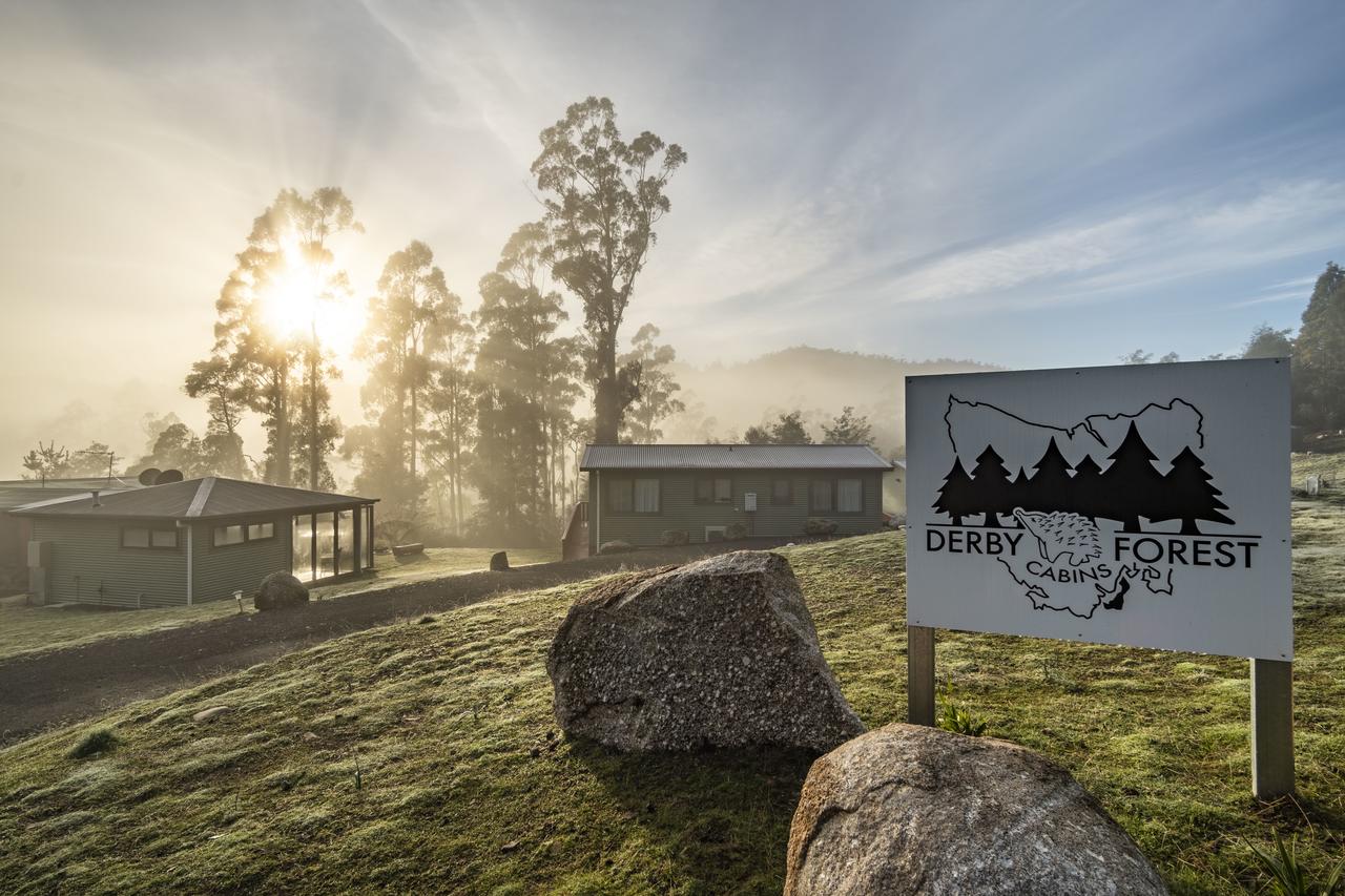 South Mount Cameron TAS Accommodation QLD
