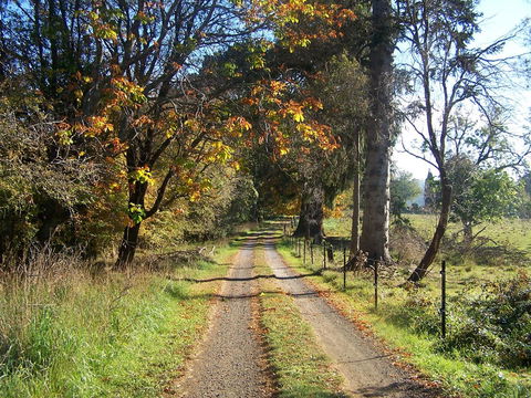 Drumreagh Cabins - Accommodation QLD 6