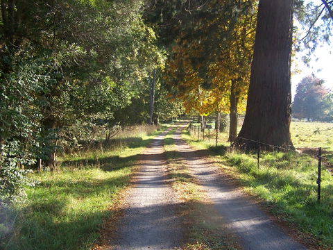 Drumreagh Cabins - Accommodation QLD 5