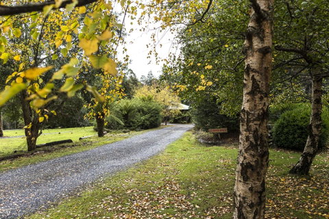 Cradle Forest Inn - Accommodation QLD 36