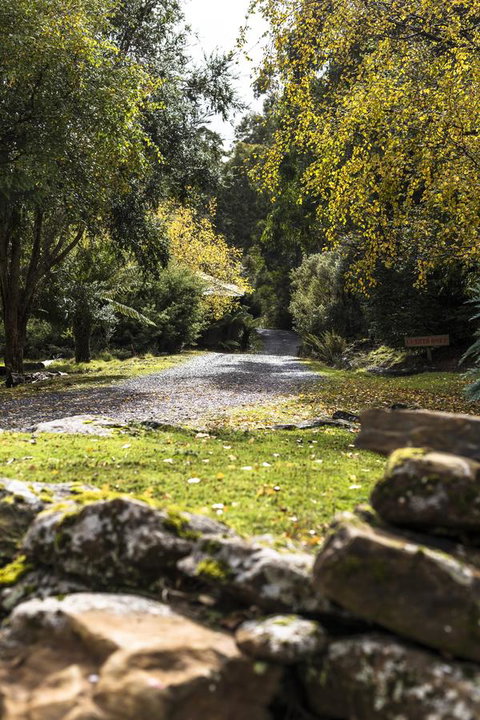 Cradle Forest Inn - Accommodation QLD 34