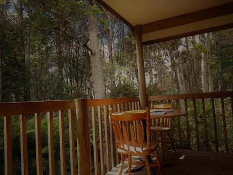 Cradle Forest Inn - Accommodation QLD 2