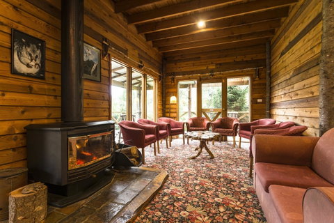 Cradle Forest Inn - Accommodation QLD 1
