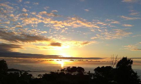 Up The Back - Accommodation QLD 33