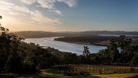 Domescapes In The Vines - Accommodation QLD 10