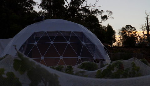 Domescapes In The Vines - Accommodation QLD 12