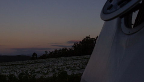 Domescapes In The Vines - Accommodation QLD 4