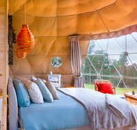 Domescapes in the Vines - Accommodation QLD