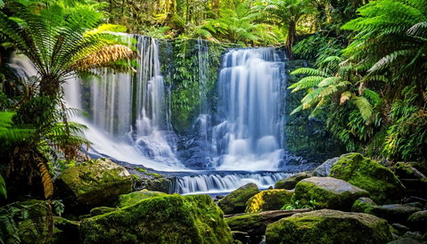 Domescapes In The Vines - Accommodation QLD 13