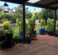 Blue Wren Bungalow - Accommodation QLD