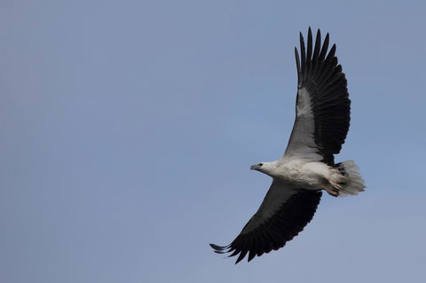 Arthur Riverfront And Sea Lodge Downstream - Accommodation QLD 37