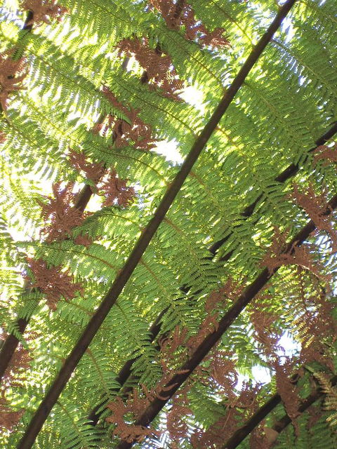 Arthur Riverfront And Sea Lodge Downstream - Accommodation QLD 31