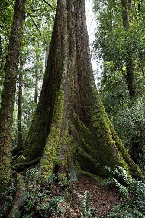 Arthur Riverfront And Sea Lodge Downstream - Accommodation QLD 33