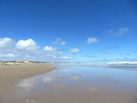 Arthur Riverfront And Sea Lodge Downstream - Accommodation QLD 24