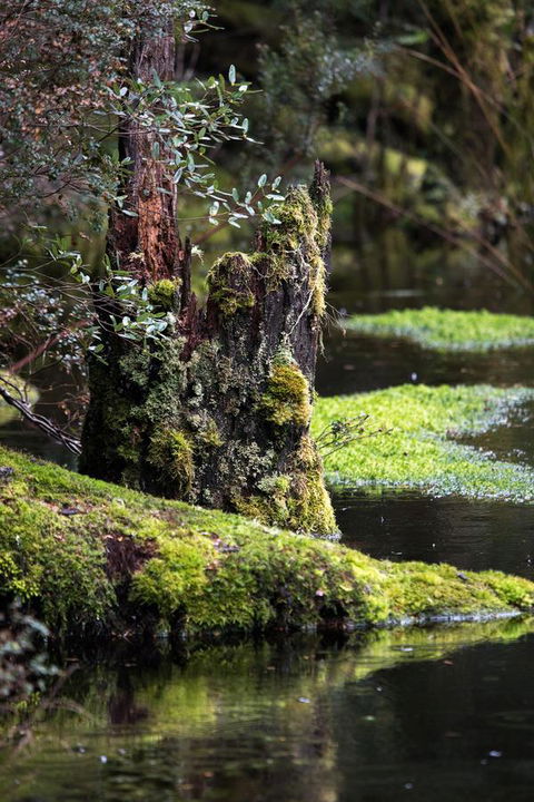 Arthur Riverfront And Sea Lodge Downstream - Accommodation QLD 30