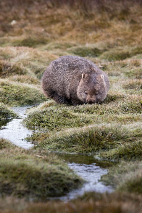 Arthur Riverfront And Sea Lodge Downstream - Accommodation QLD 40