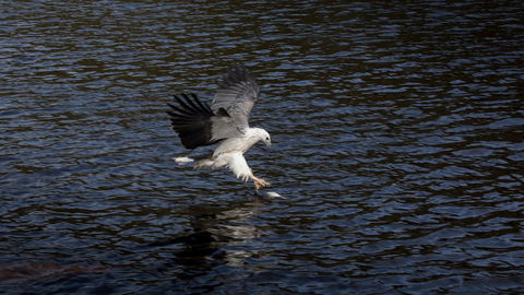 Arthur Riverfront And Sea Lodge Downstream - Accommodation QLD 38