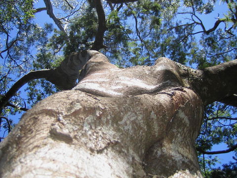 Arthur Riverfront And Sea Lodge Downstream - Accommodation QLD 32