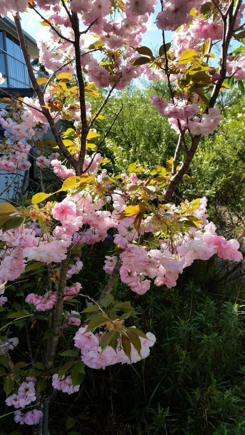 Beezneez B&B - Accommodation QLD 14