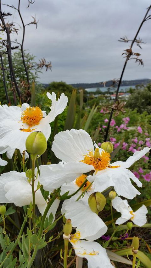 Beezneez B&B - Accommodation QLD 13