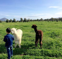 Taras Richmond Farmstay - Accommodation QLD