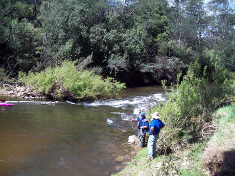 St. Pauls Bed & Breakfast - Accommodation QLD 26