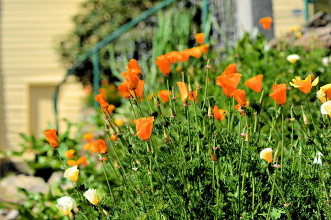 St. Pauls Bed & Breakfast - Accommodation QLD 44