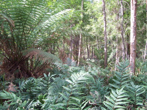 St. Pauls Bed & Breakfast - Accommodation QLD 15