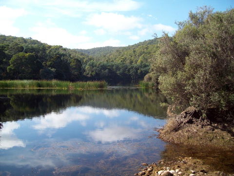 St. Pauls Bed & Breakfast - Accommodation QLD 11
