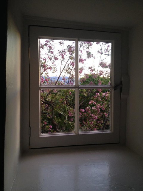 Blue Magnolia - Accommodation QLD 36