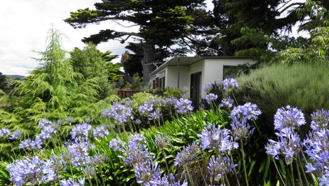 Tamar River Retreat - Accommodation QLD 28