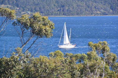 The Tree House - Accommodation QLD 5