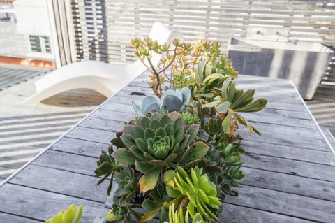 Avalon City Retreat - Accommodation QLD 5