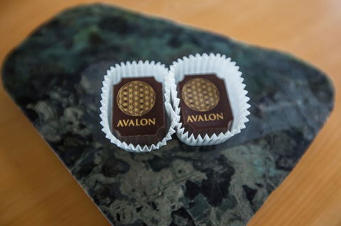 Avalon City Retreat - Accommodation QLD 22