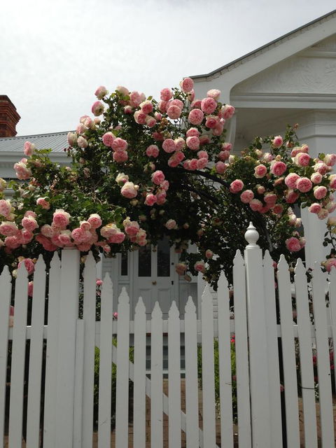 White Dove Cottage Bed And Breakfast - Accommodation QLD 10