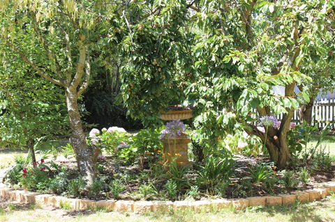 Bellamona - Accommodation QLD 23