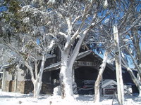Book Dinner Plain Accommodation Vacations Accommodation QLD Accommodation QLD