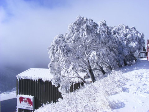 Arlberg Hotham - Accommodation QLD 15