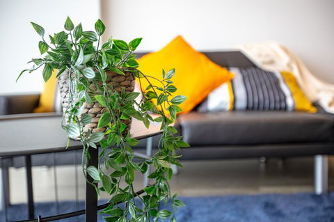 Brand New One/Two - Bed Room Apartment @ Maribyrnong - Accommodation QLD 0