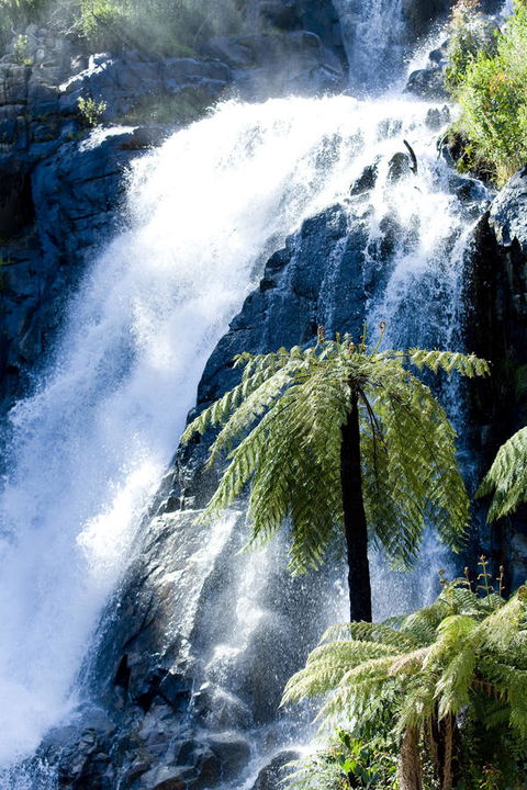 Tower Motel Marysville - Accommodation QLD 23