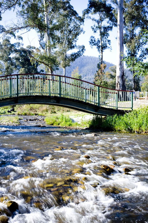 Tower Motel Marysville - Accommodation QLD 10