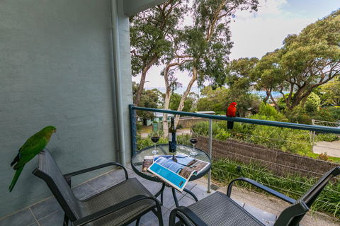 Lorne Surf Apartments - Accommodation QLD 21