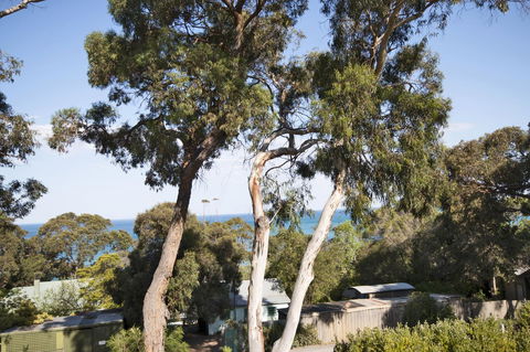 Lorne Surf Apartments - Accommodation QLD 6