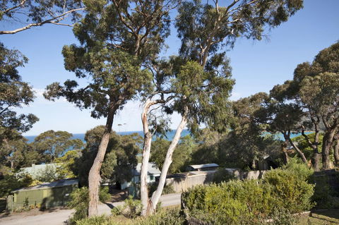 Lorne Surf Apartments - Accommodation QLD 11