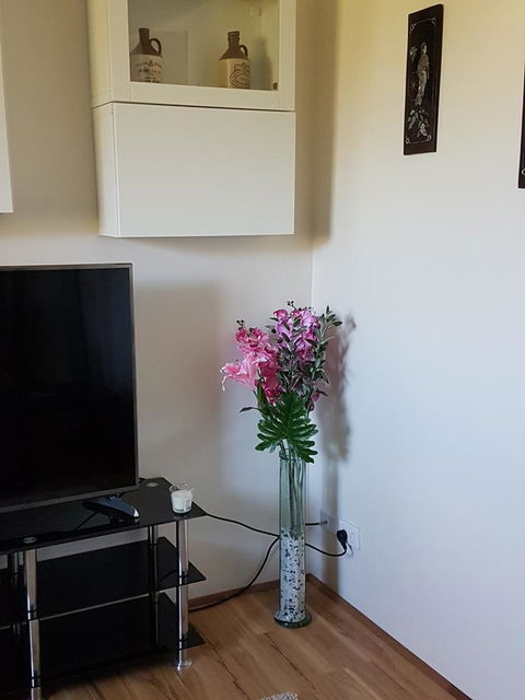 Romsey Homestay - Accommodation QLD 8