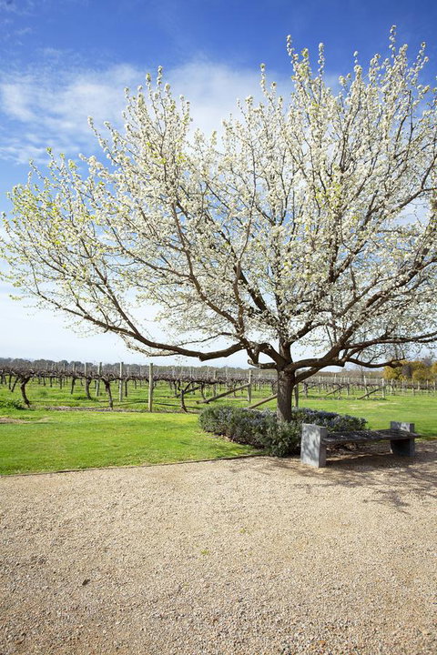 Lancemore Milawa - Accommodation QLD 12